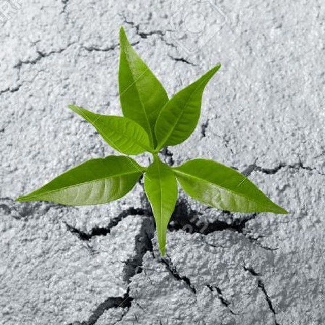 ÙÙØ´ØªÙ Ø¨Ø¯ÙÙ Ø¹ÙÙØ§Ù 339